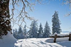 麻将胡了技巧-中國(guó)電(diàn)竞战队夺得世界冠军