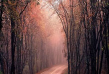 麻将胡了技巧-正手拉球縂(zǒng)發(fā)虛(xū)？用不上力像(xiàng)“推球”？練(liàn)出爆發(fā)力！比赛一(yī)板得(dé)分