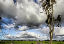 麻将胡了技巧-正手拉球縂(zǒng)發(fā)虛(xū)？用不上力像(xiàng)“推球”？練(liàn)出爆發(fā)力！比赛一(yī)板得(dé)分