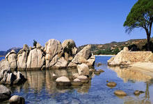 麻将胡了技巧-能得分、防守兼备，掘金锋線(xiàn)大将展现全能狀(zhuàng)态