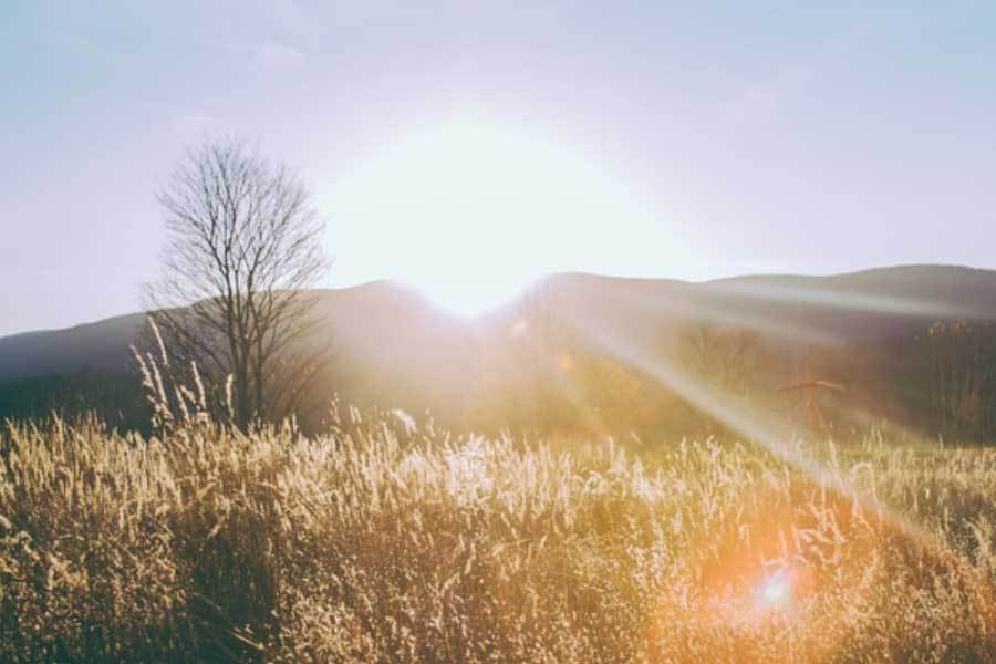 电竞比赛推动青少年团队协作