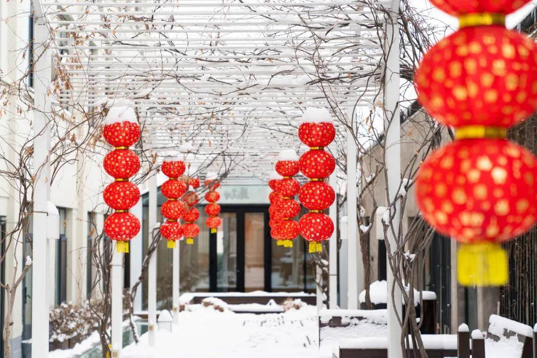 亮点「一月· 岁始」精彩活动集锦来啦~